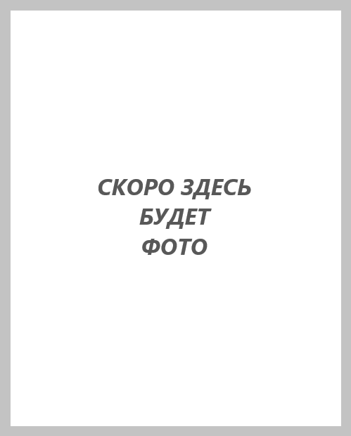 Дисплей iPhone 12 Pro Max модуль в сборе черный (In-Cell LW PREMIUM)